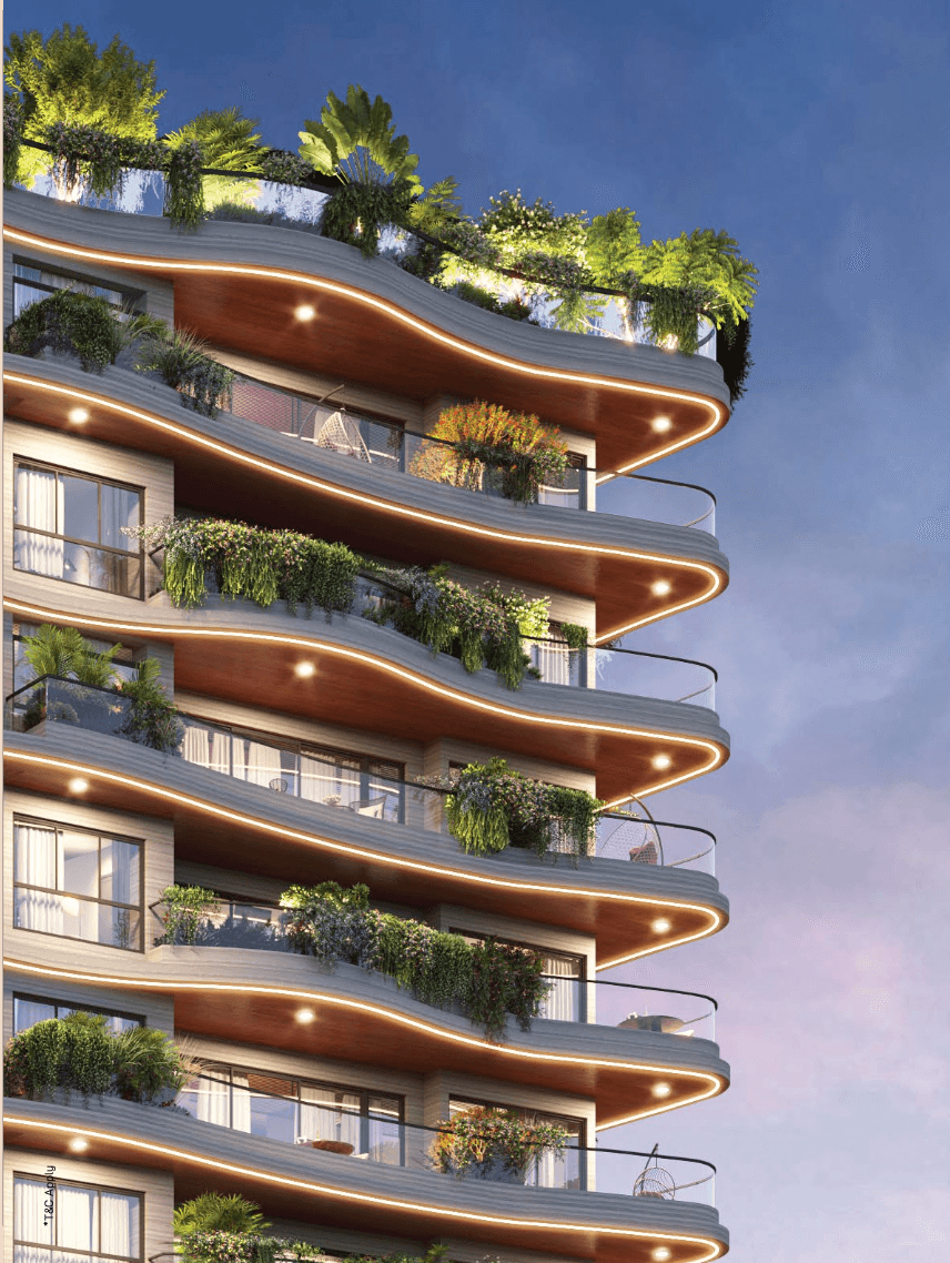 Bodhi — Jayanagar, Bangalore