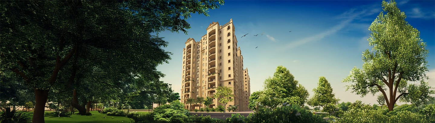 Legacy Saviero — Hoysala Nagara East, Bangalore