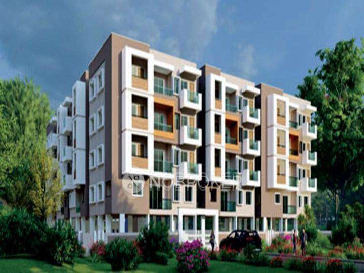 Affinity Gardenia