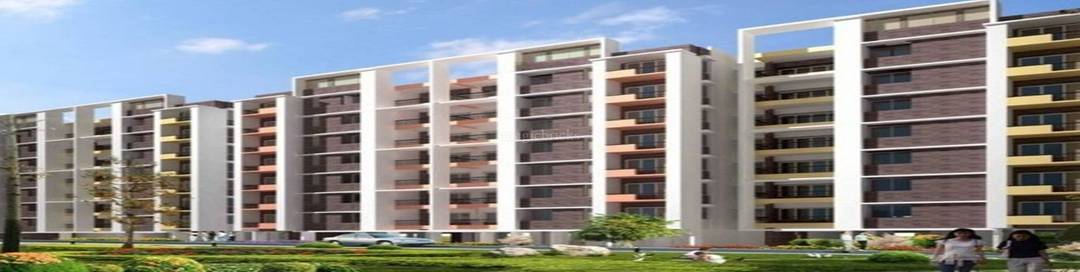 Jito Ranka Nagar