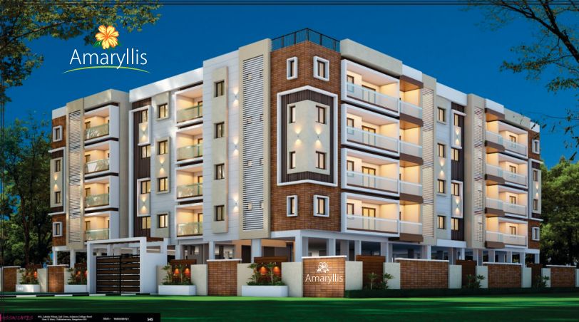 AMARYLLIS — Beguru, Bangalore