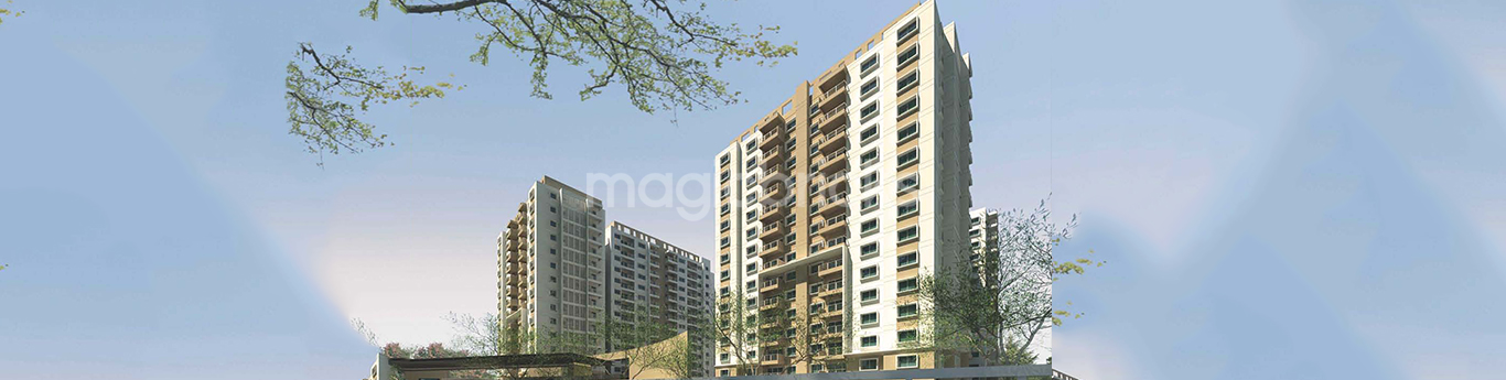 Oceanus Classic — Kodigehalli, Bangalore